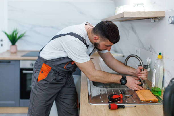 Best Plumbing Inspection Services  in Norman Park, GA