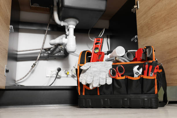 Best Best Plumbers Near Me  in Norman Park, GA